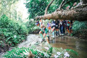 BIB: 
                            <button type="button" onclick="openModal(25471911)" class="btn btn-primary btn-sm float-right btn-popup" data-toggle="modal" data-target=".modal-high-quality">
                        <i class="fas fa-shopping-cart"></i> Add to Cart
                    </button>
                                            <button type="button" onclick="isThisMe(25471911, true)" class="btn btn-success btn-sm float-right btn-popup btn-isme hidden" data-toggle="tooltip" data-placement="bottom" title="นี่คือรูปของคุณใช่ไหม คลิกที่นี่เพื่อเอาเข้าอัลบั้ม">
                        <i class="fas fa-plus"></i> Add to album
                    </button>
                    <button type="button" onclick="isThisMe(25471911, false)" class="btn btn-warning btn-sm float-right btn-popup btn-isnotme hidden">
                        <i class="fas fa-ban"></i> Remove from album
                    </button>